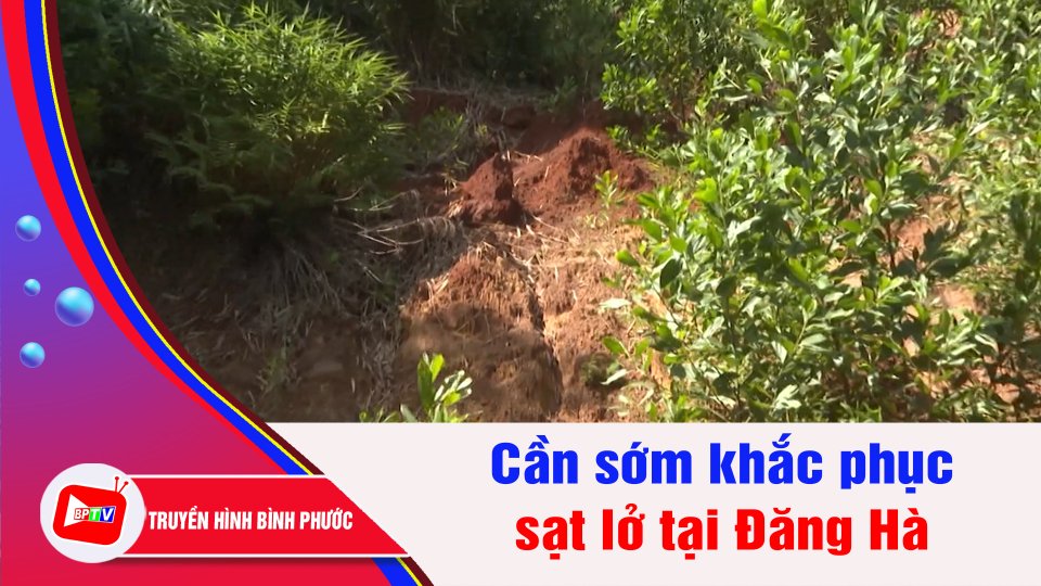 Cần sớm khắc phục sạt lở tại Đăng Hà | BPTV