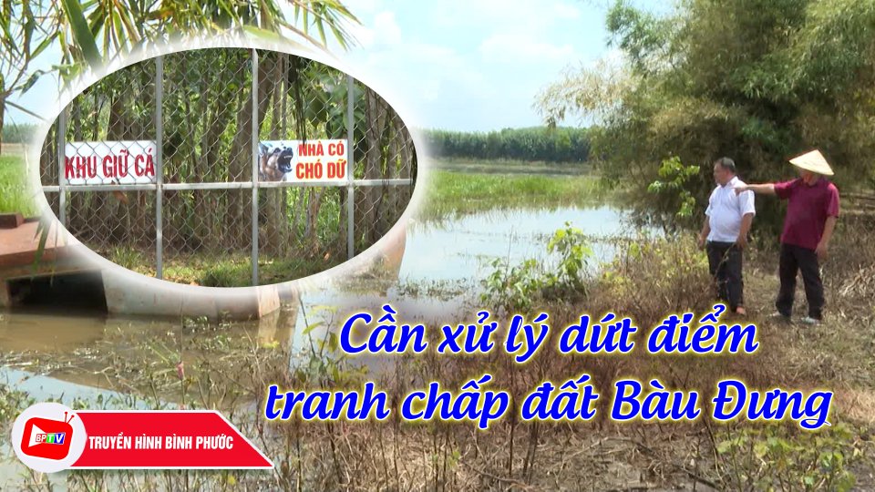 Cần xử lý dứt điểm tranh chấp đất Bàu Đưng |BPTV