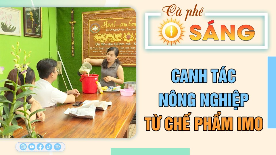 Canh tác nông nghiệp từ chế phẩm imo: Nhiều lợi ích | Cà phê sáng 9-3-2023 || BPTV