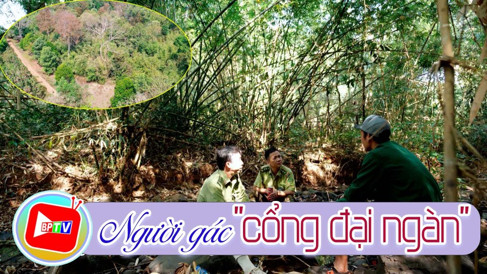 Cánh tay màu xanh 