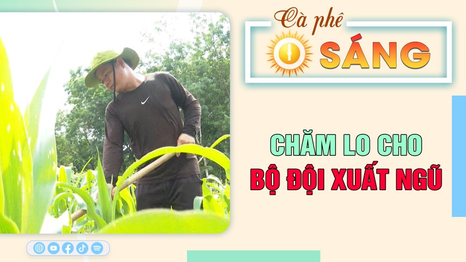 Chăm lo cho bộ đội xuất ngũ |Cà phê sáng 31-5-2023 ||BPTV