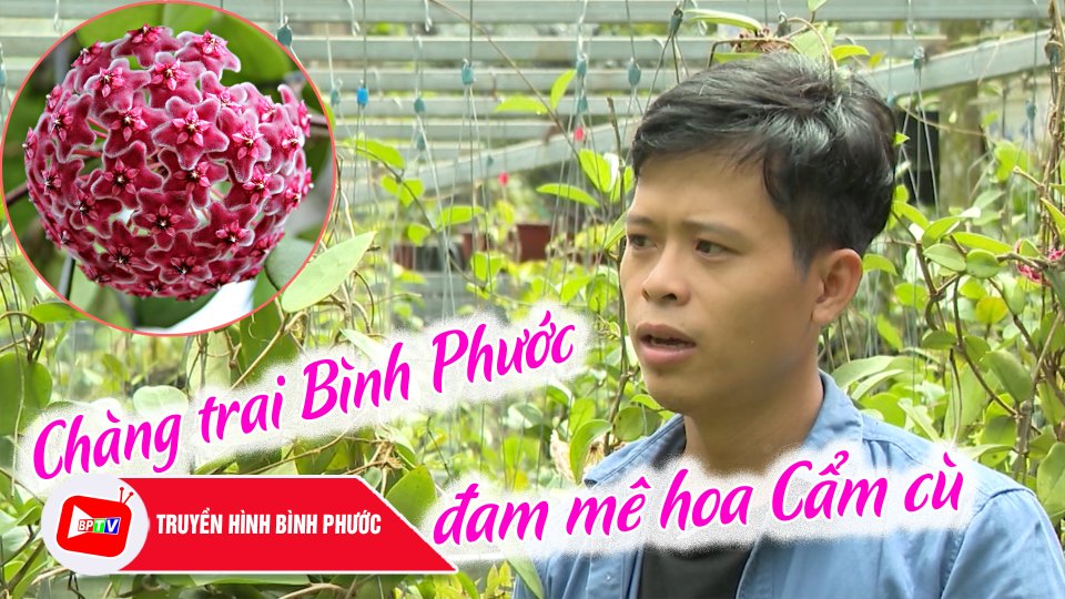 Chàng trai Bình Phước khởi nghiệp với loài cây cảnh ra hoa thơm nức |Khởi nghiệp cùng Hoài Sơn |BPTV