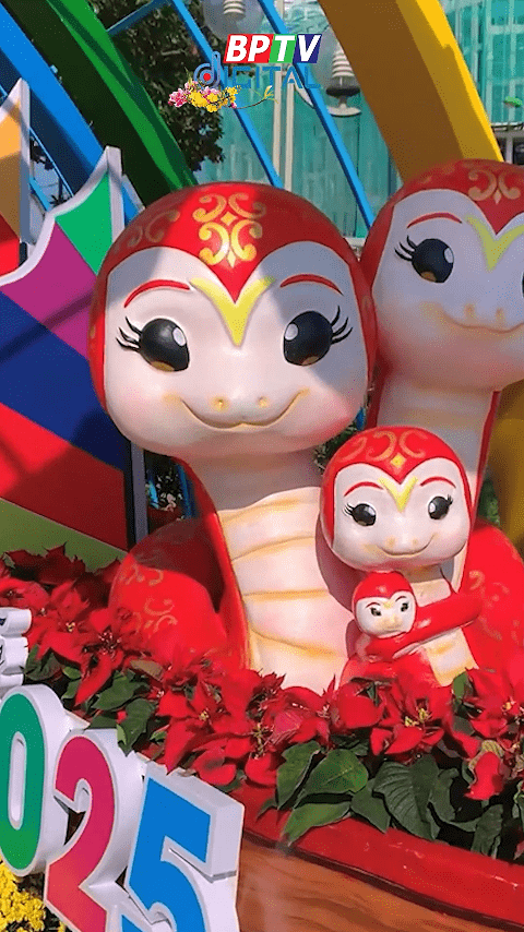 Chào ngày cuối cùng của năm Giáp Thìn  #shorts