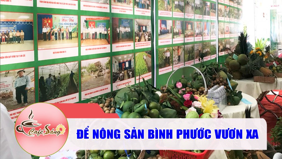 “Chìa khóa” để nông sản Bình Phước vươn xa |Cà phê sáng 2-6-2022 |BPTV