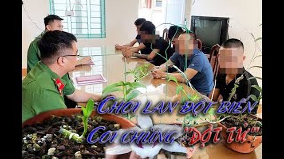Chiêu trò 'thổi giá' trong giới buôn lan đột biến