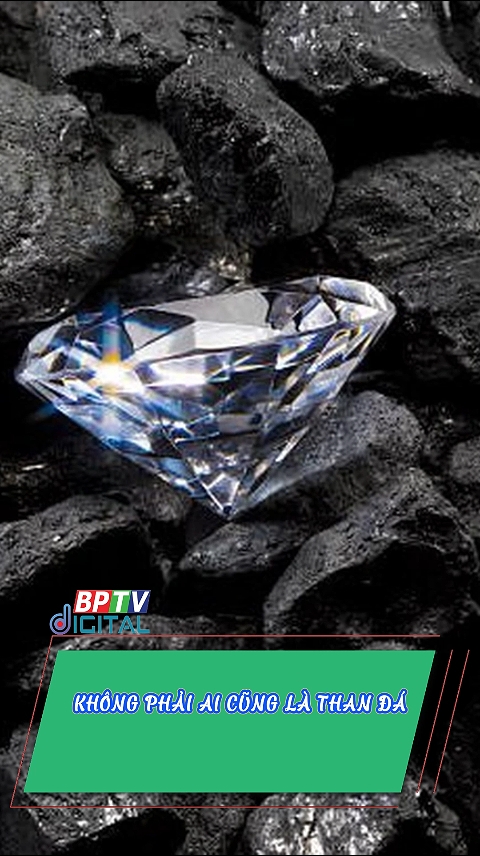 Chủ nhật đầu tiên của năm mới, gửi đến bạn một thông điệp đặc biệt