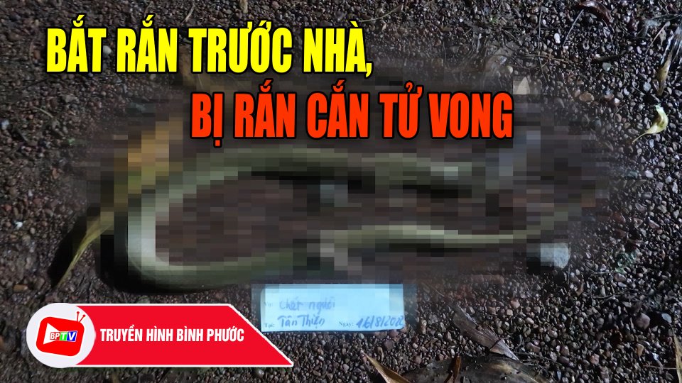 Chủ quan khi bị rắn cắn, người đàn ông ở Bình Phước nhận cái kết đắng |BPTV