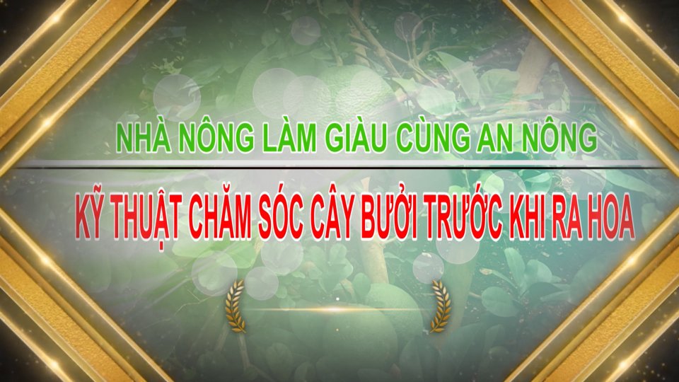 Chương trình Nhà nông làm giàu cùng An Nông số 10 có gì hấp dẫn?