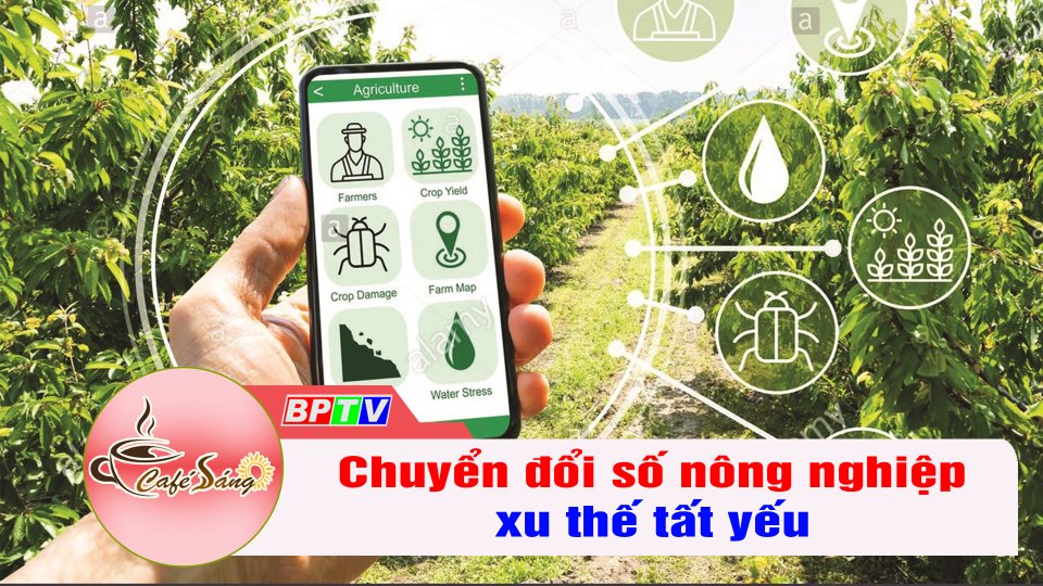 Chuyển đổi số nông nghiệp là xu thế tất yếu | Cà phê sáng 24-9-2022 || BPTV