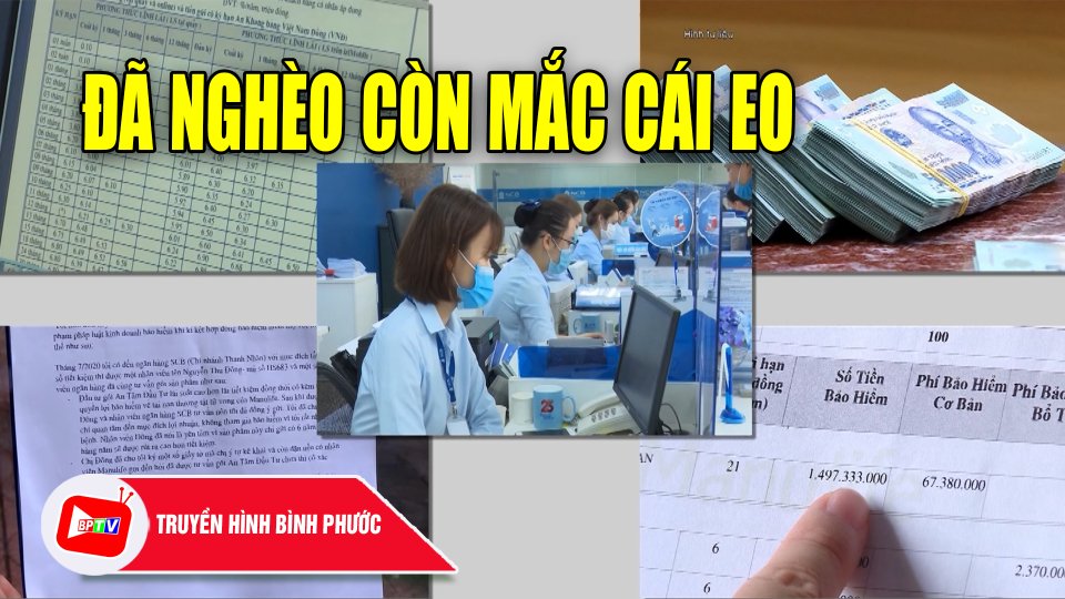 Chuyện “ép” mua bảo hiểm khi vay vốn” Đã nghèo còn mắc cái eo |BPTV