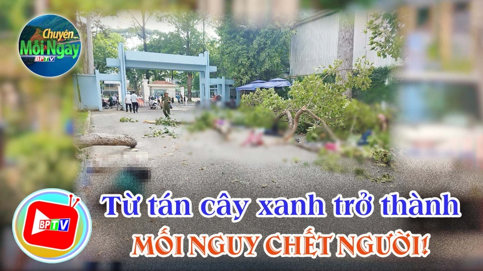 CHUYỆN MỖI NGÀY 10-6-2025 |Tin hay mỗi ngày ||BPTV