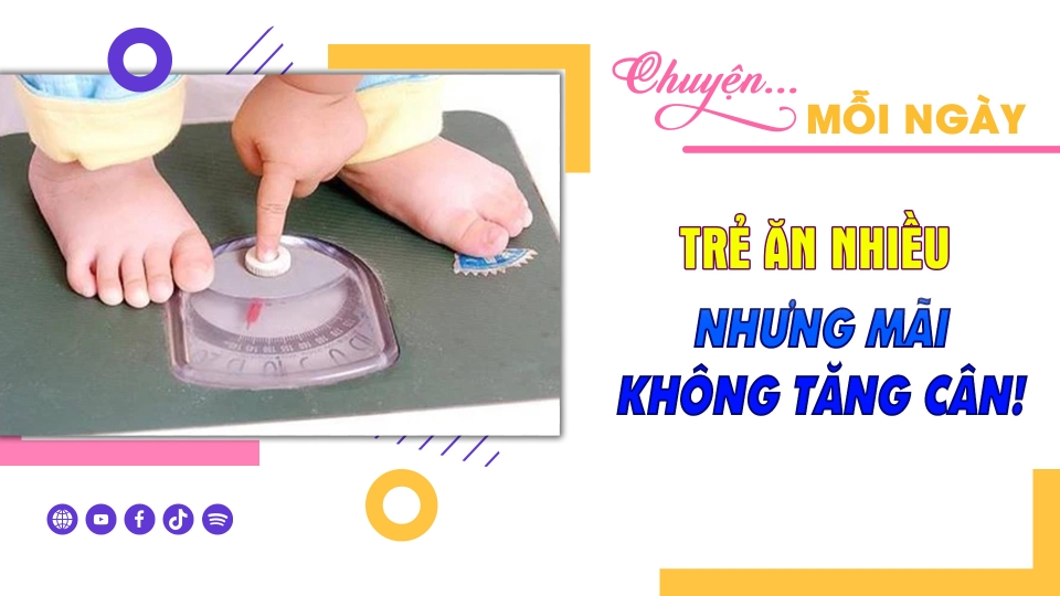 CHUYỆN MỖI NGÀY 11-2-2025 |BPTV