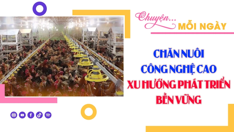 CHUYỆN MỖI NGÀY 11-5-2025 ||BPTV