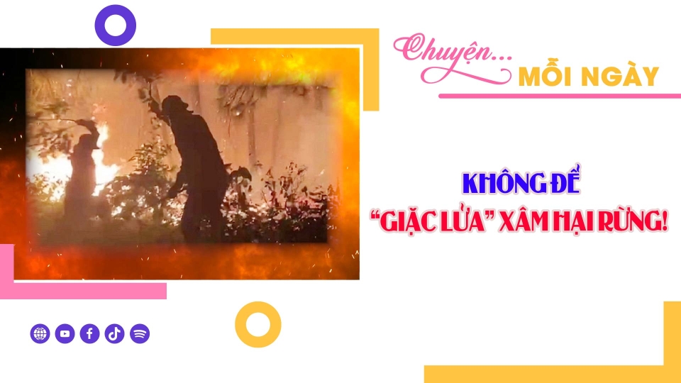 CHUYỆN MỖI NGÀY 12-3-2025 ||BPTV