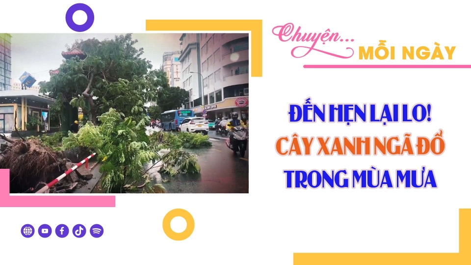 CHUYỆN MỖI NGÀY 13-9-2024 ||BPTV