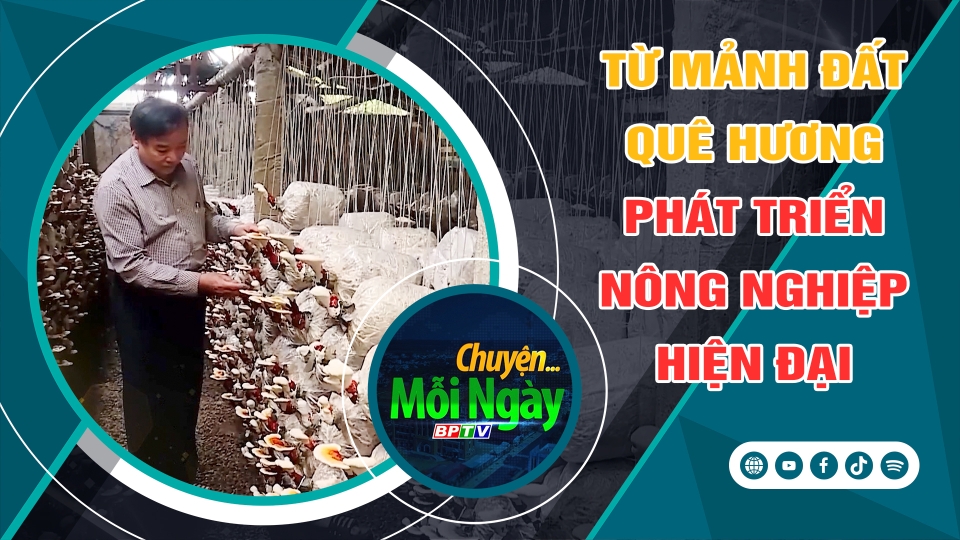 CHUYỆN MỖI NGÀY 15-5-2025 | BPTV