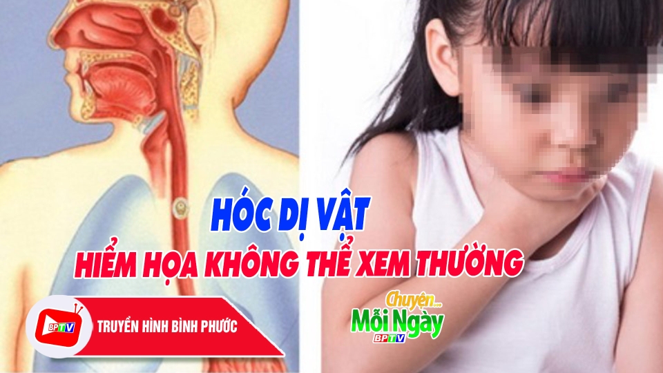 CHUYỆN MỖI NGÀY 16-10-2024 |BPTV