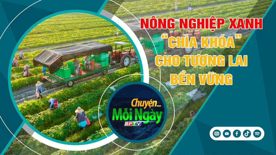 CHUYỆN MỖI NGÀY 17-12-2024 |BPTV