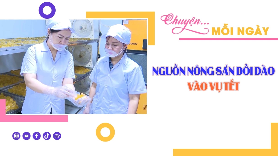 CHUYỆN MỖI NGÀY 17-1-2025 ||BPTV