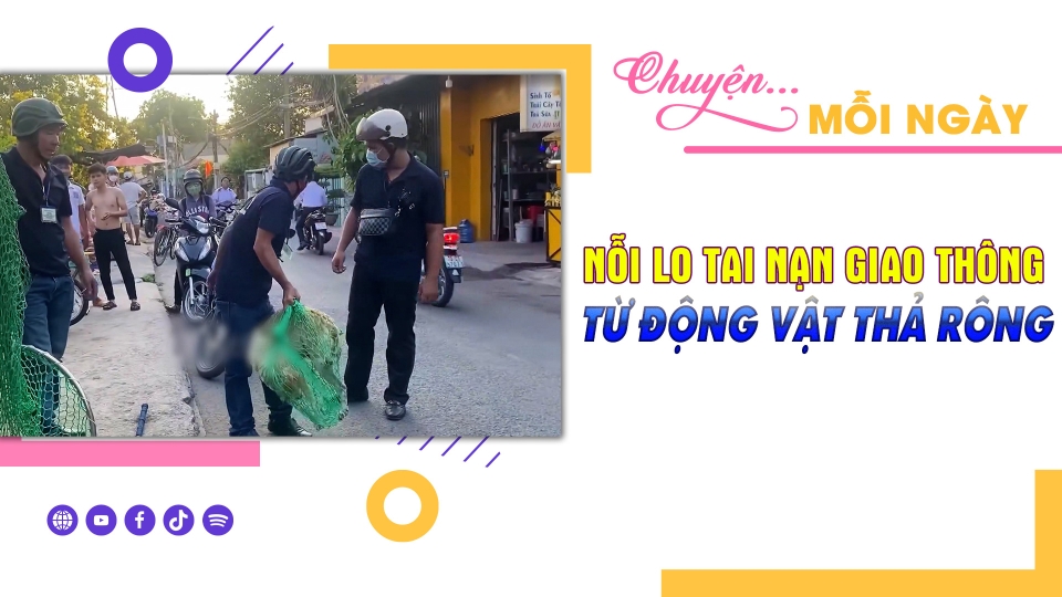 CHUYỆN MỖI NGÀY 1-11-2024 |BPTV