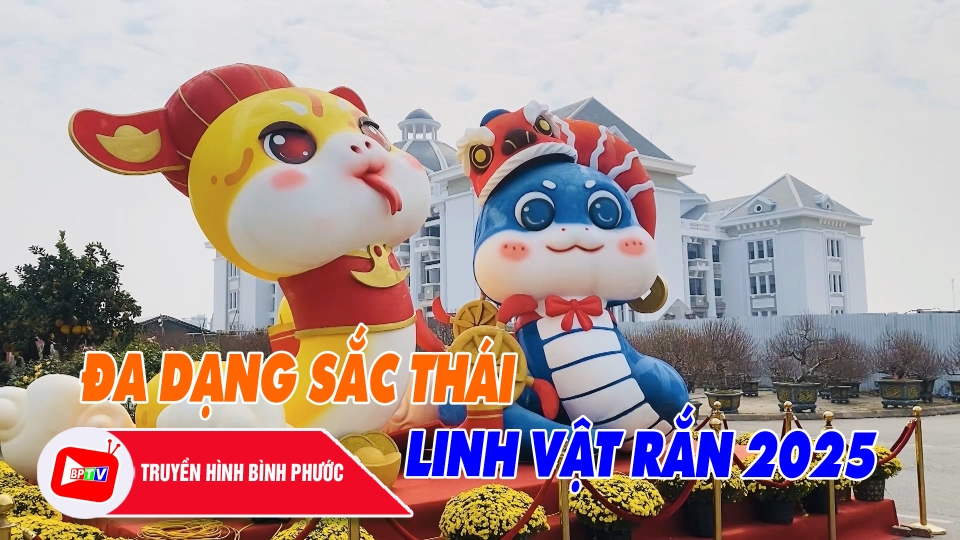 Chuyện mỗi ngày 20-1-2025 |BPTV
