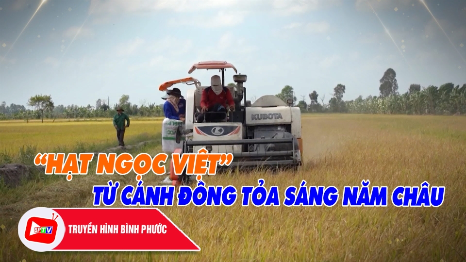 CHUYỆN MỖI NGÀY 20-4-2025 |BPTV 