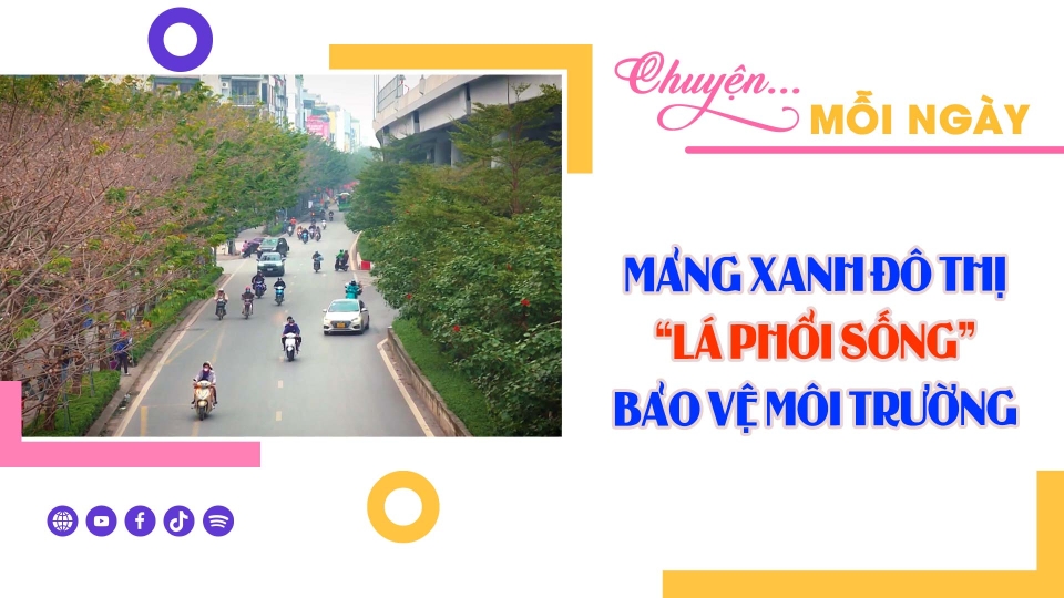 CHUYỆN MỖI NGÀY 22-2-2025 ||BPTV