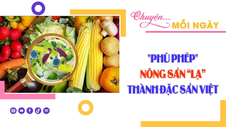 CHUYỆN MỖI NGÀY 25-10-2024 ||BPTV