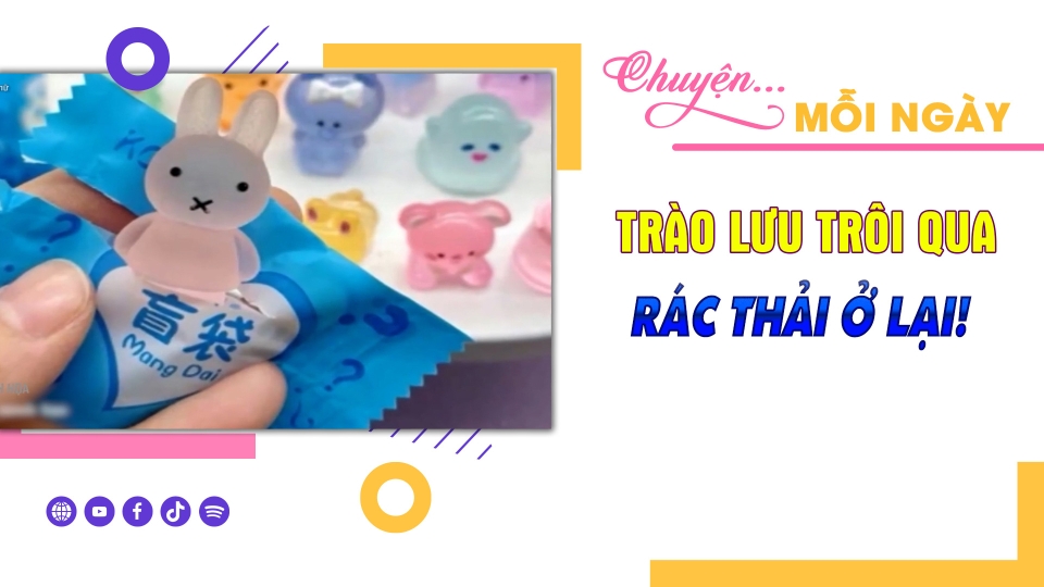 CHUYỆN MỖI NGÀY 25-11-2024 |BPTV