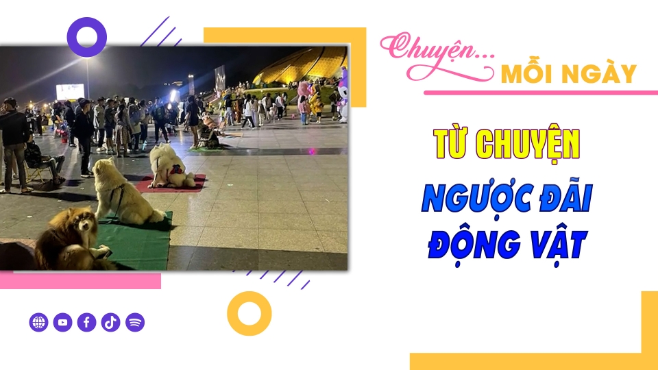 CHUYỆN MỖI NGÀY 27-8-2024 |BPTV