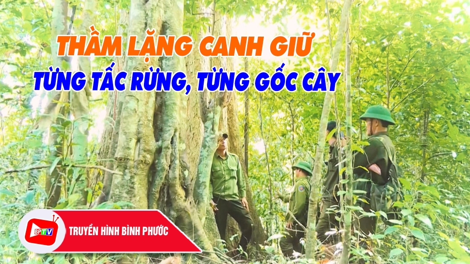 CHUYỆN MỖI NGÀY 2-5-2025 |BPTV