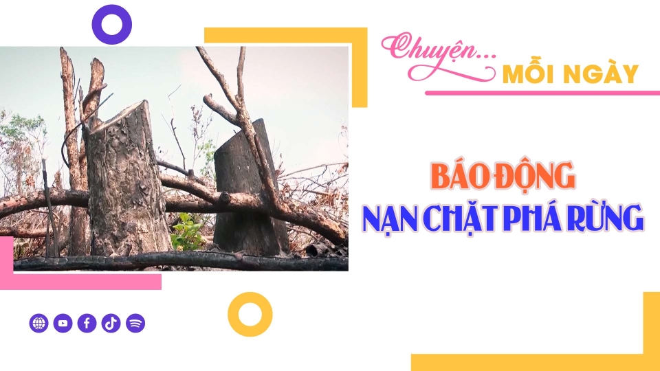 CHUYỆN MỖI NGÀY 30-11-2024 ||BPTV