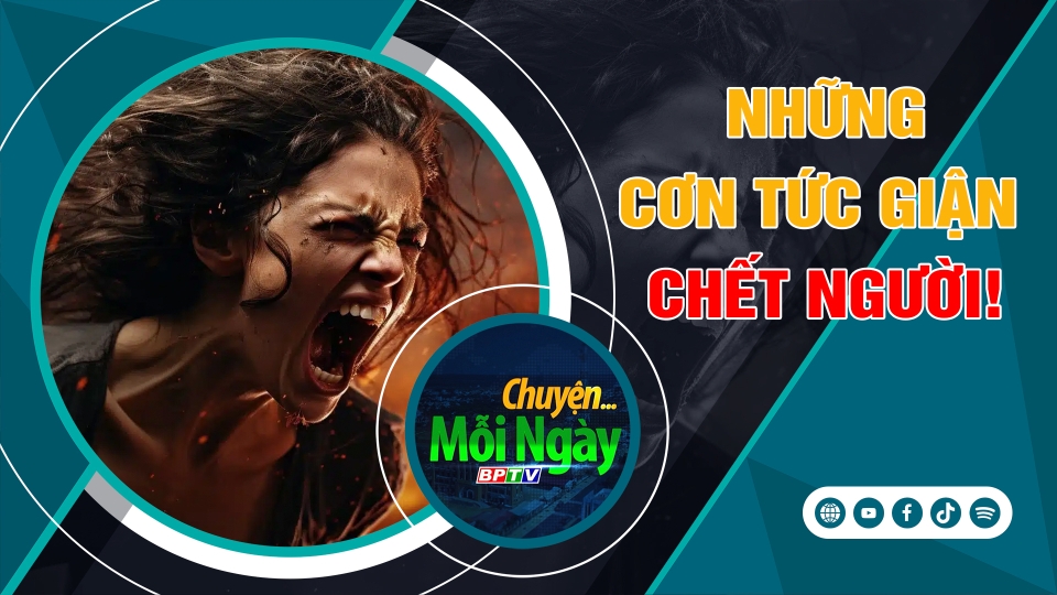 CHUYỆN MỖI NGÀY 4-11-2024 | BPTV