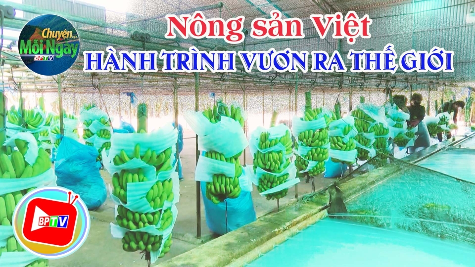 CHUYỆN MỖI NGÀY 4-6-2025 ||BPTV