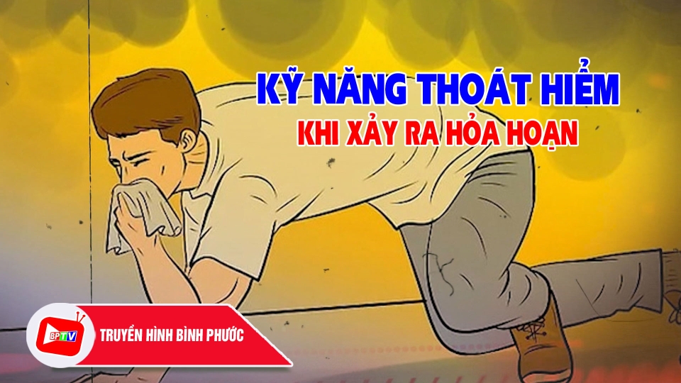 CHUYỆN MỖI NGÀY 6-6-2024 |BPTV