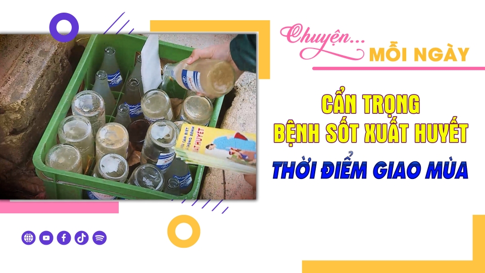 CHUYỆN MỖI NGÀY 8-10-2024 |BPTV