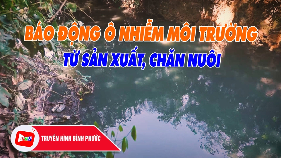 CHUYỆN MỖI NGÀY 8-1-2025 |BPTV