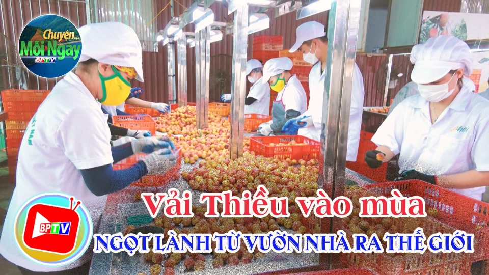 CHUYỆN MỖI NGÀY 8-6-2025 ||BPTV