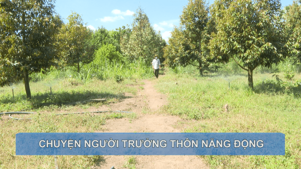 CHUYỆN NGƯỜI TRƯỞNG THÔN NĂNG ĐỘNG
