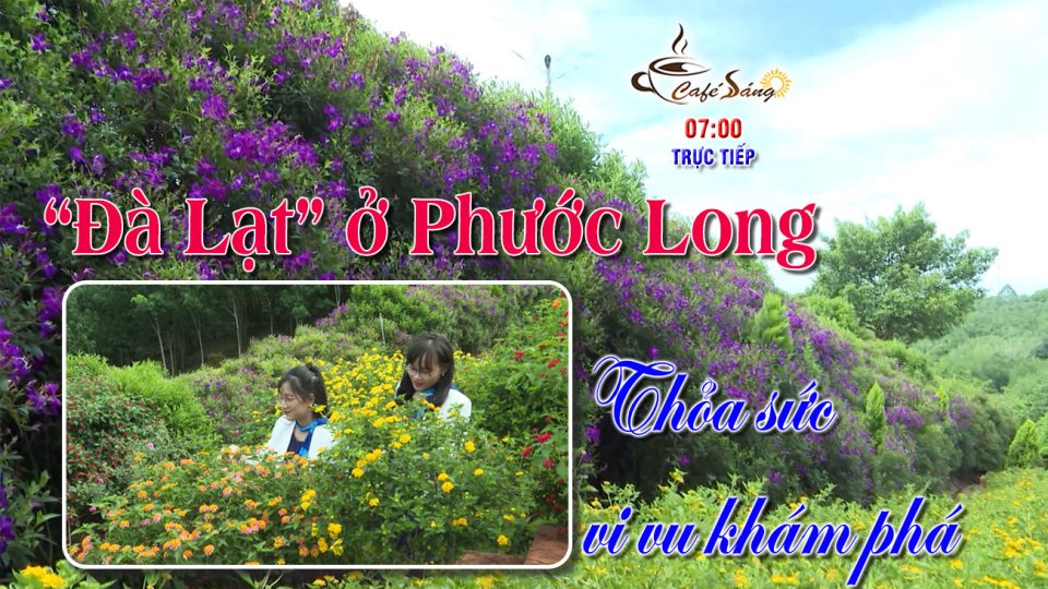 Có một “Đà Lạt” trong lòng Phước Long |Cà phê sáng 21-4-2022 |BPTV
