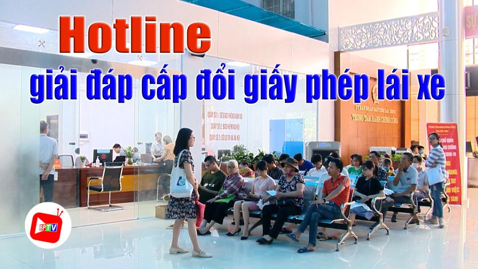Công bố đường dây nóng giải đáp thắc mắc về cấp đổi giấy phép lái xe |BPTV