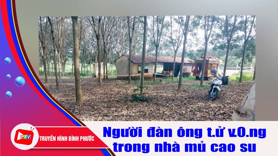 Công nhân đi cạo mủ sớm, tá hỏa phát hiện người đàn ông t4 v.0.ng |BPTV