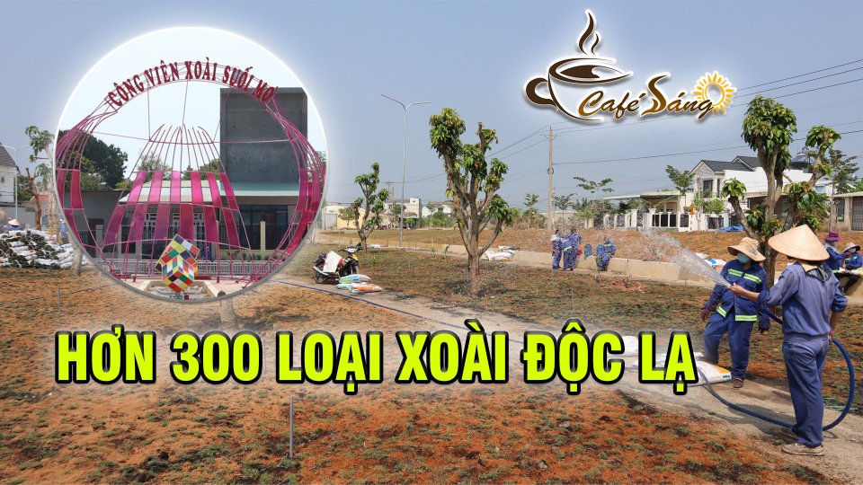 Đồng Xoài sẽ có công viên rộng 2,4ha với bộ sưu tập hàng trăm cây xoài các loại