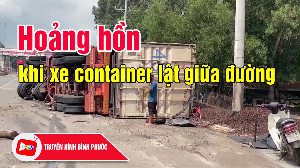 Container lật gần trạm thu phí, hàng tấn vỏ điều đổ xuống ao |BPTV