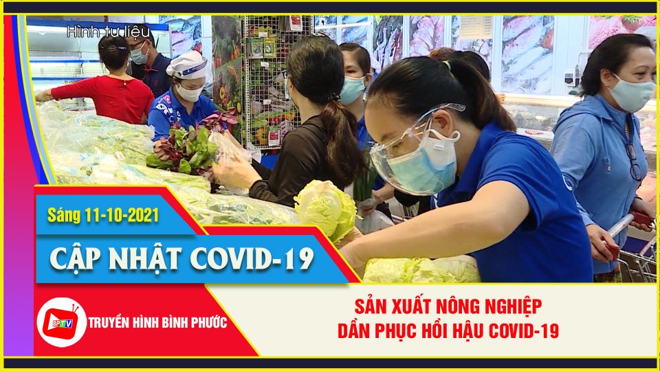 Covid-19 sáng 11-10 | Những tín hiệu vui: Sản xuất nông nghiệp dần phục hồi sau giãn cách 