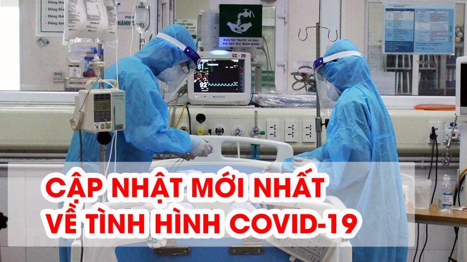 Covid-19 sáng 24-8 | Việt Nam có 737 ca Covid-19 nặng và nguy kịch 