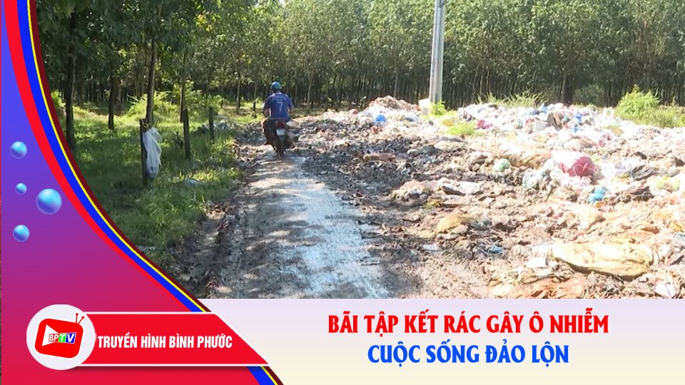 Cuộc sống đảo lộn vì bãi tập kết rác gây ô nhiễm |BPTV