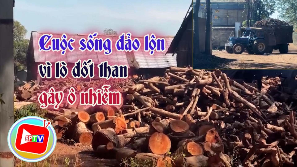Cuộc sống đảo lộn vì lò đốt than gây ô nhiễm |BPTV 