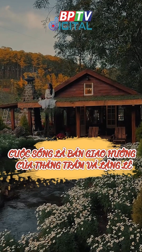 Cuộc sống như một bản giao hưởng, nơi mỗi âm điệu điều chứa đựng những cảm xúc khác nhau  #shorts