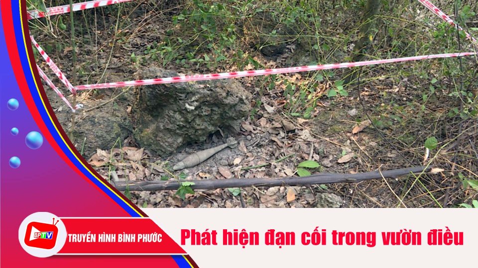 Đang thu hoạch điều, người dân hốt hoảng phát hiện đạn cối còn thuốc nổ |BPTV
